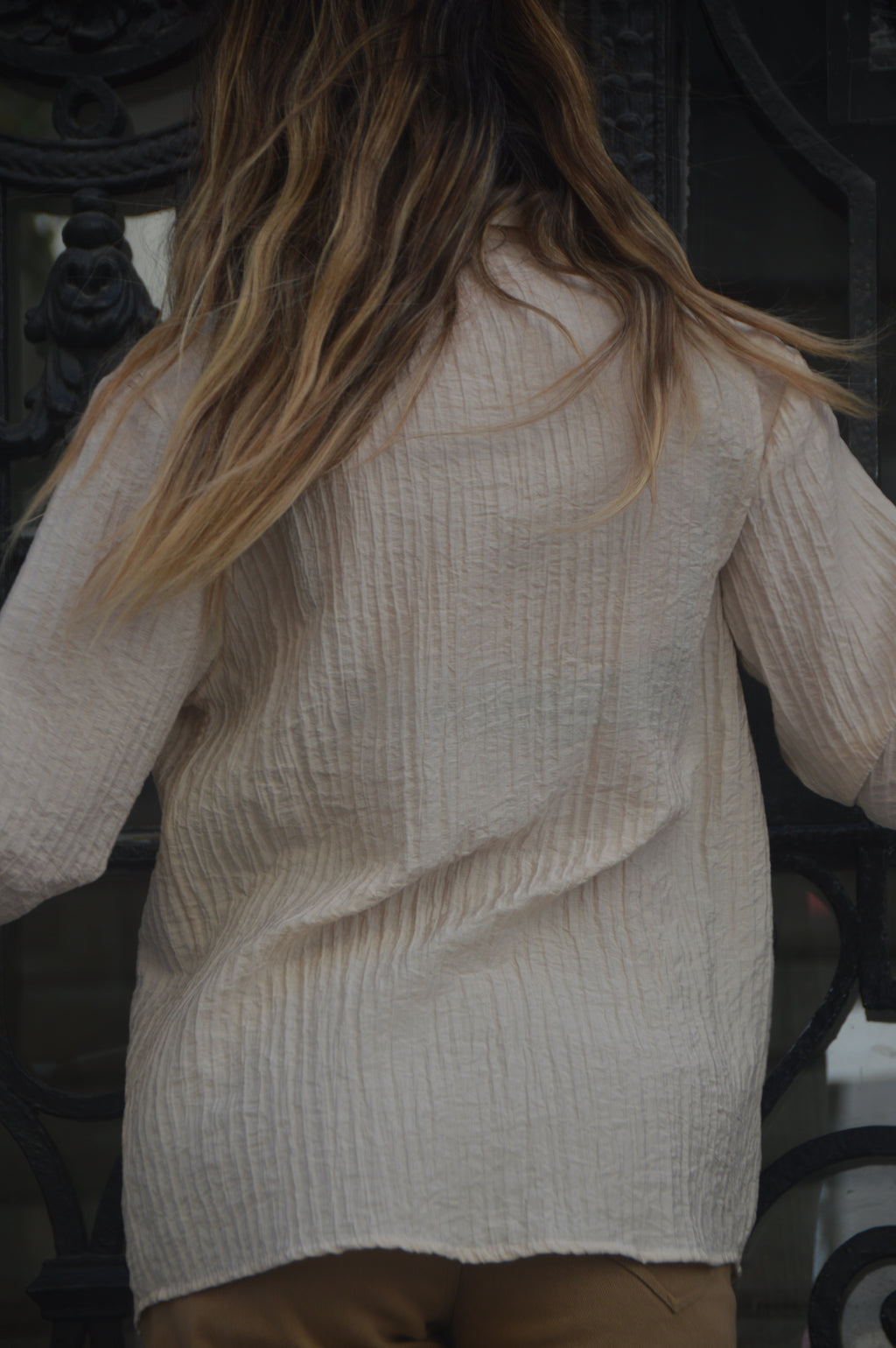 Camisa ANIS
